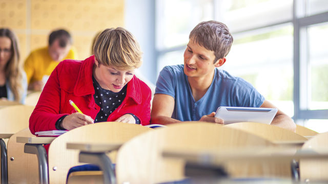 Compañeros de clase estudiando